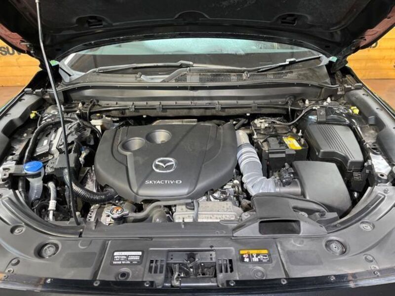 CX-8