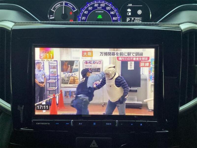SOLIO BANDIT