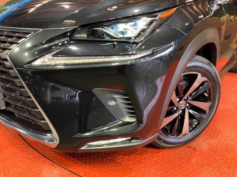 NX