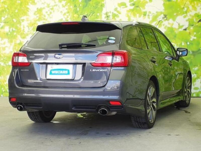 LEVORG
