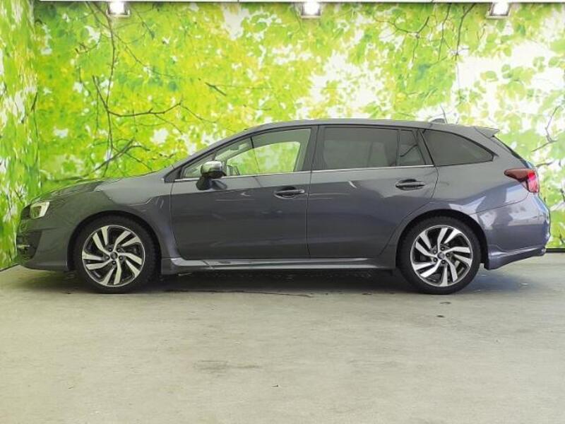 LEVORG
