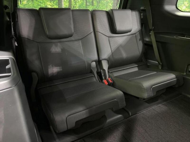 LAND CRUISER 250