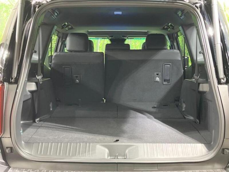 LAND CRUISER 250