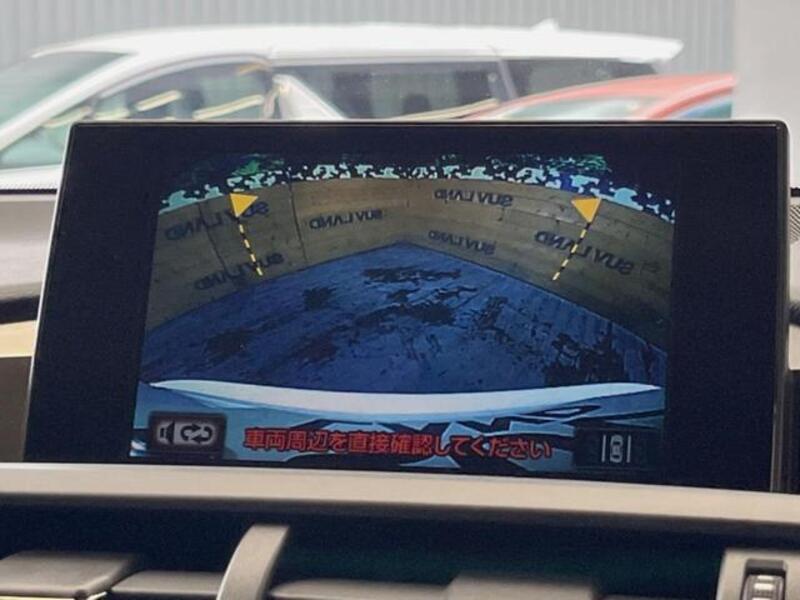 NX