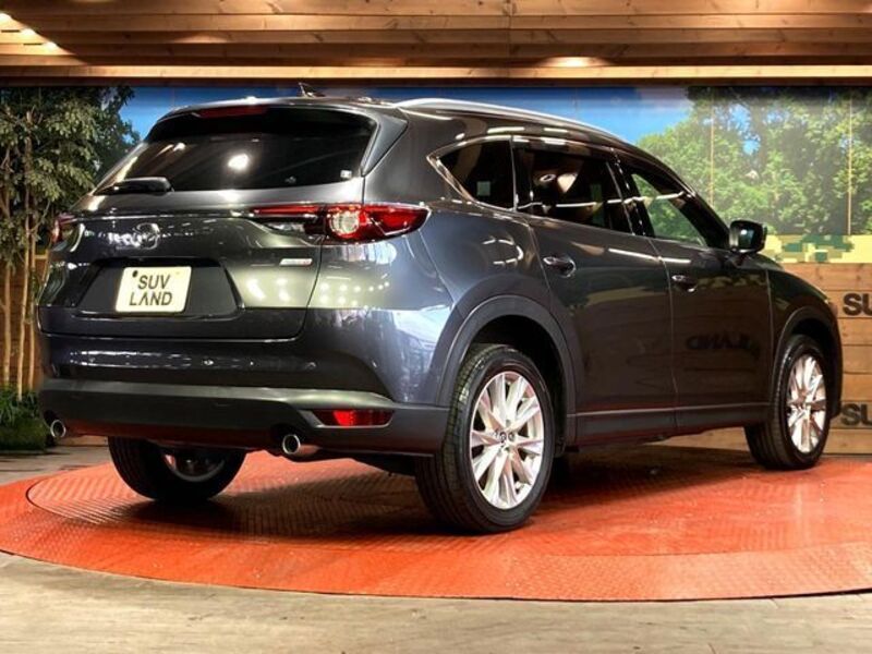 CX-8