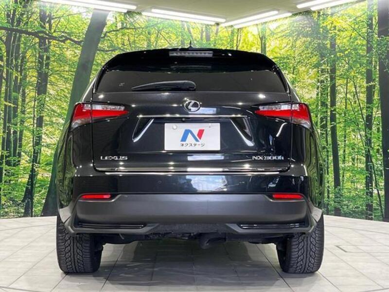NX