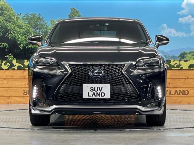 NX