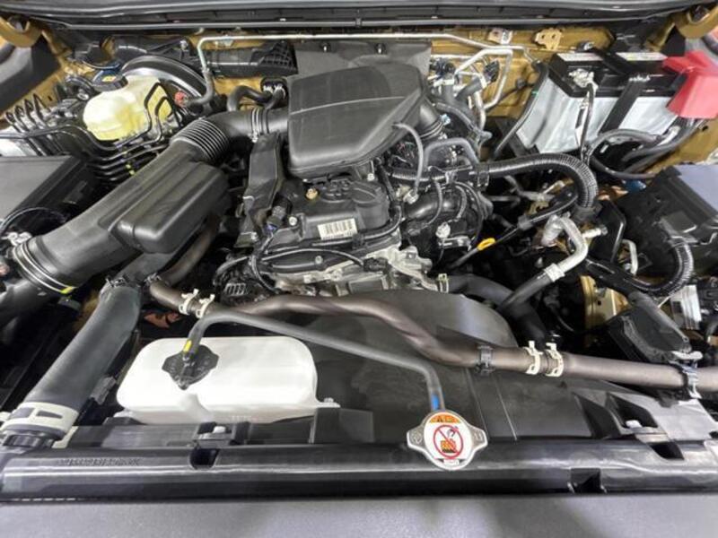 LAND CRUISER 250