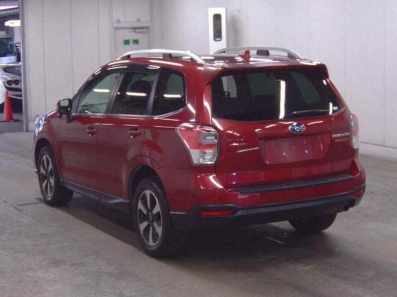 FORESTER