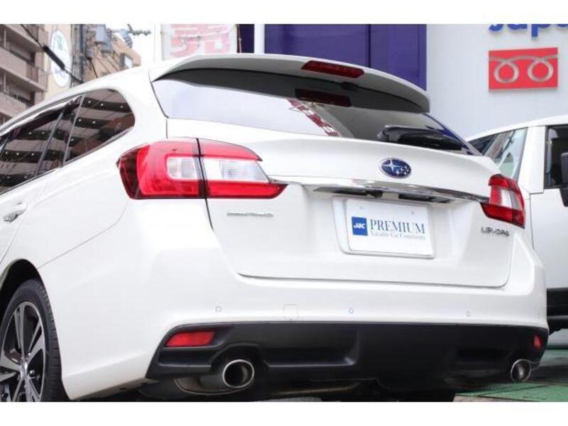 LEVORG