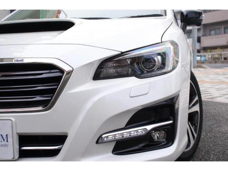 LEVORG