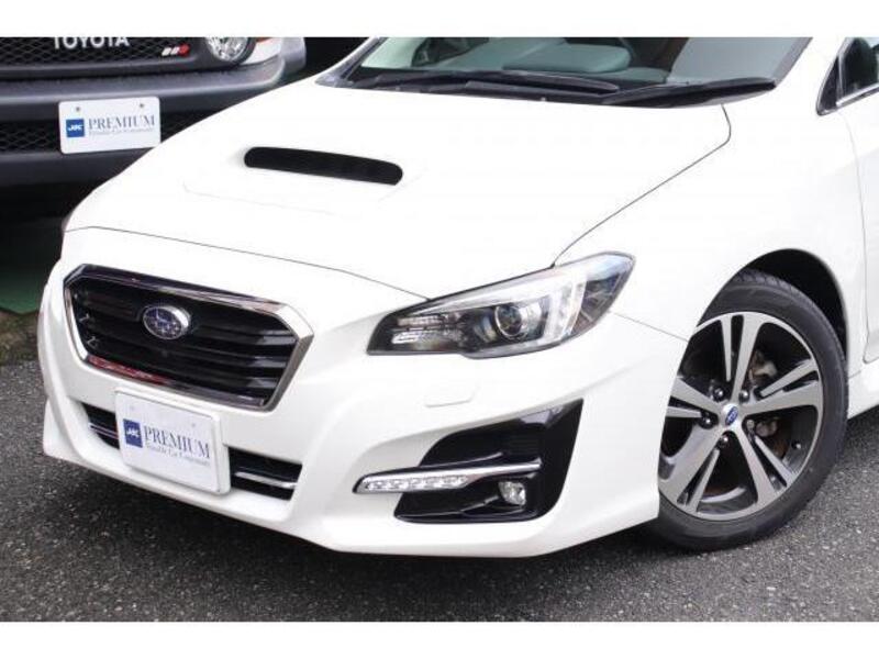 LEVORG