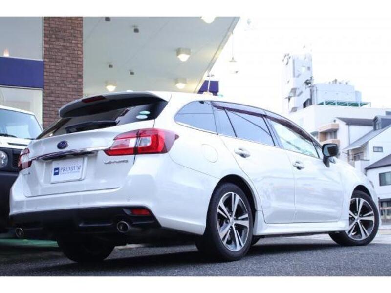 LEVORG