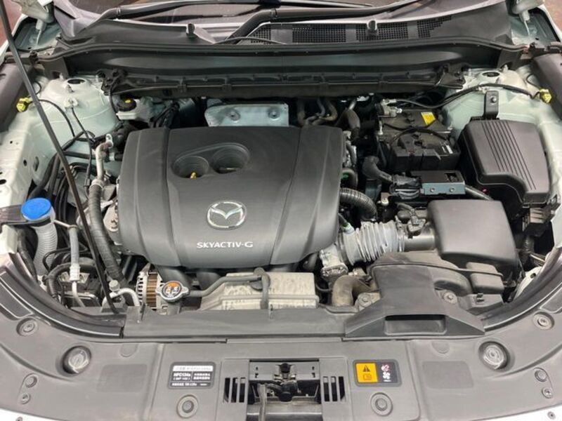 CX-8