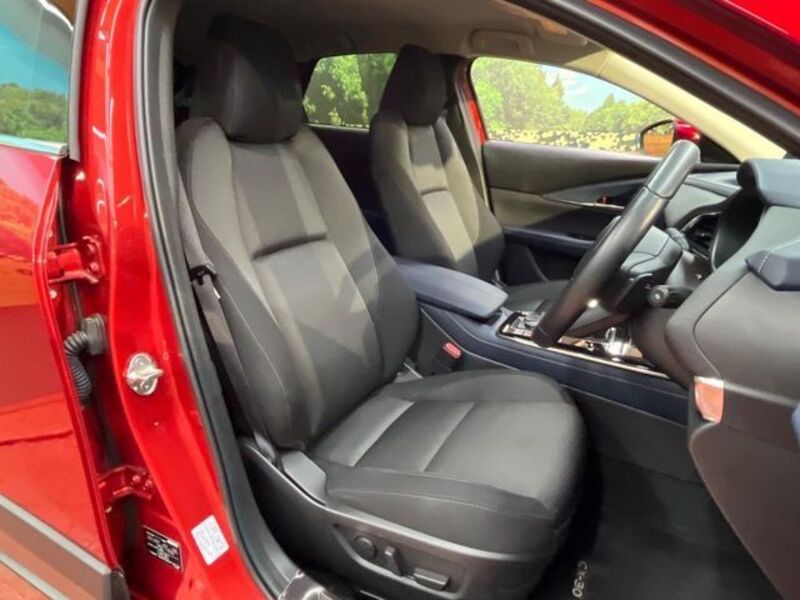 CX-30