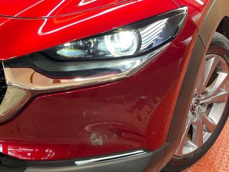 CX-30