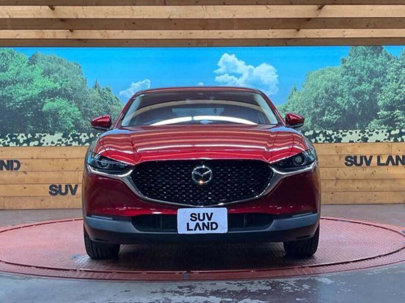 CX-30
