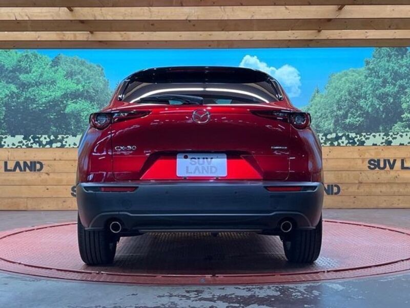 CX-30