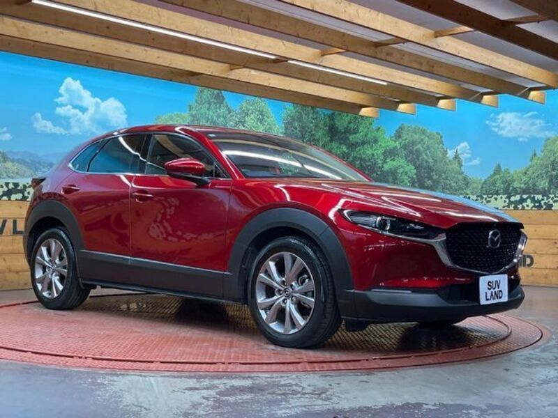 CX-30
