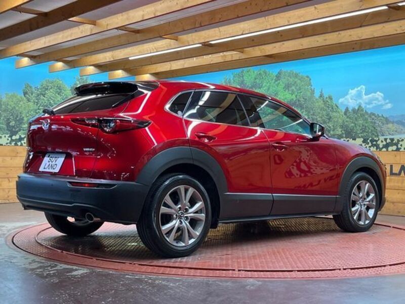 CX-30