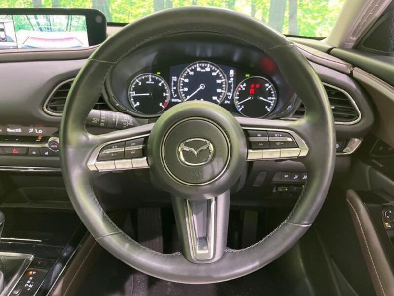 CX-30