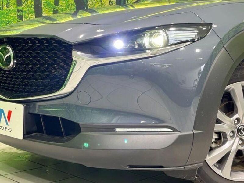 CX-30