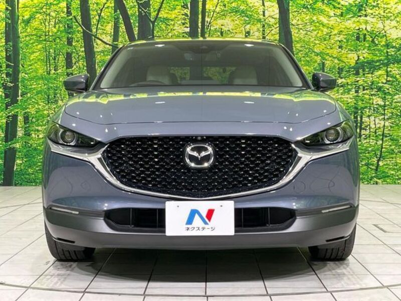 CX-30