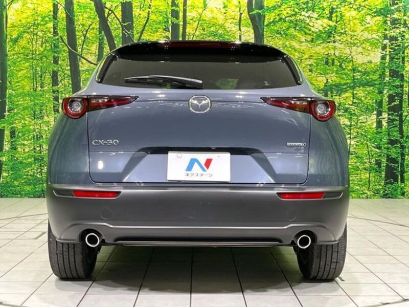 CX-30
