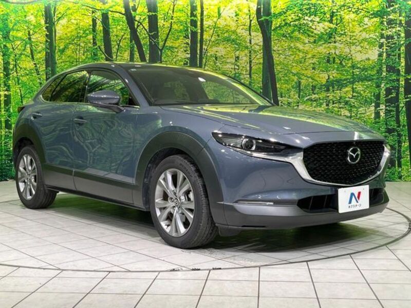 CX-30