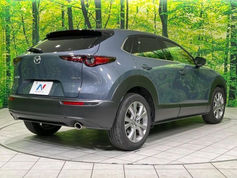 CX-30