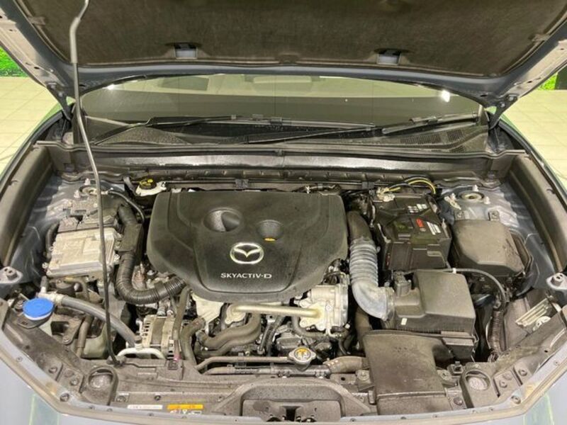 CX-30