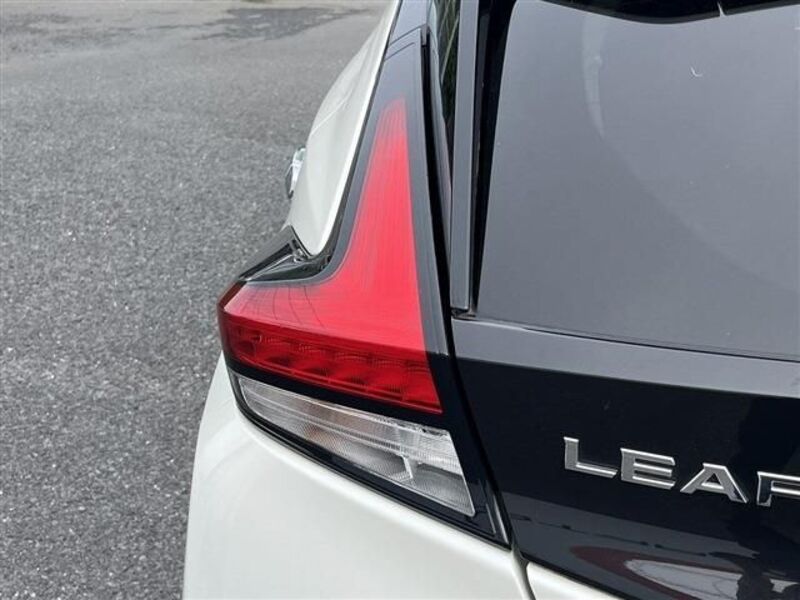 LEAF