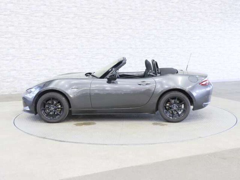 ROADSTER