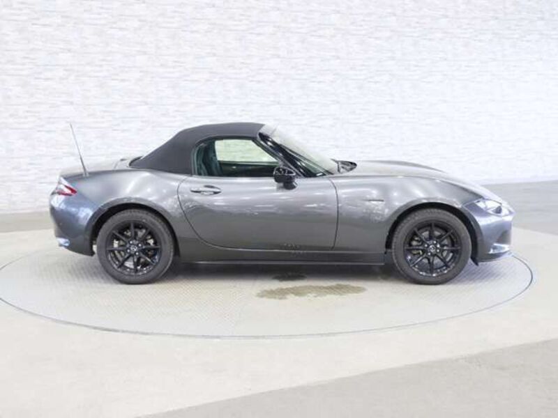 ROADSTER