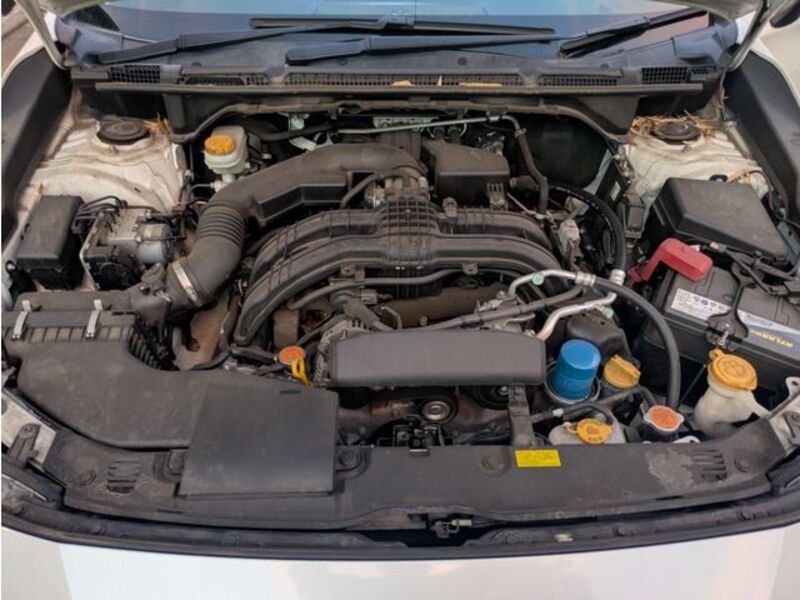 IMPREZA SPORT