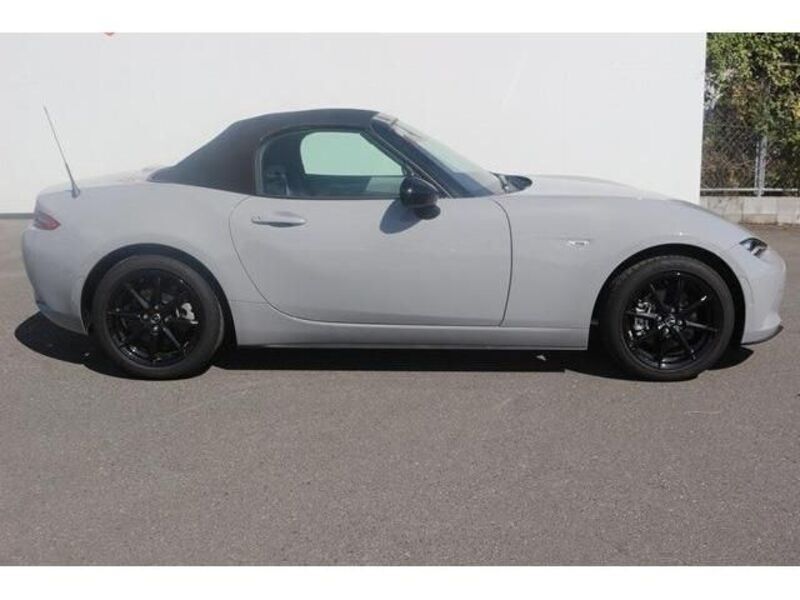 ROADSTER