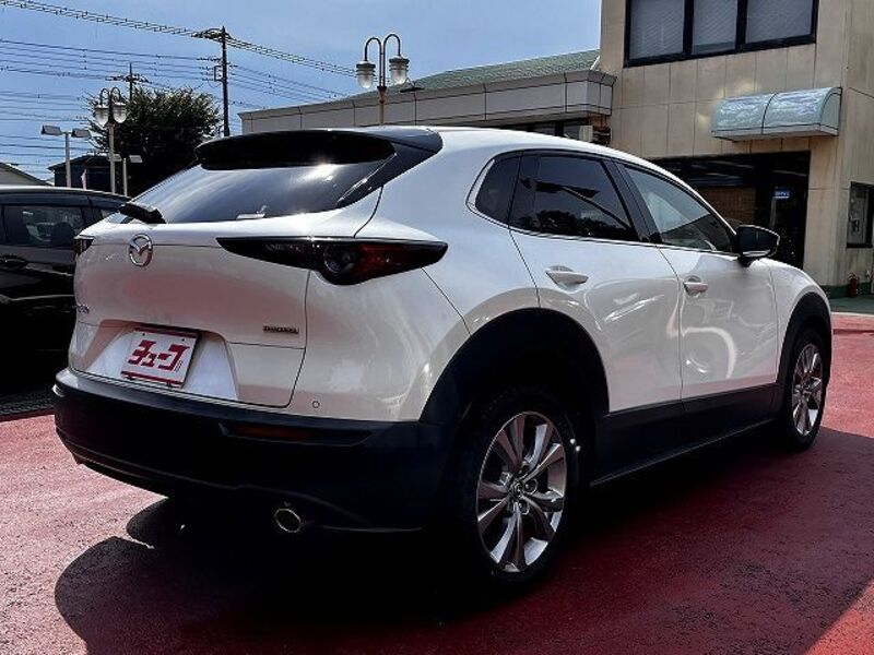 CX-30