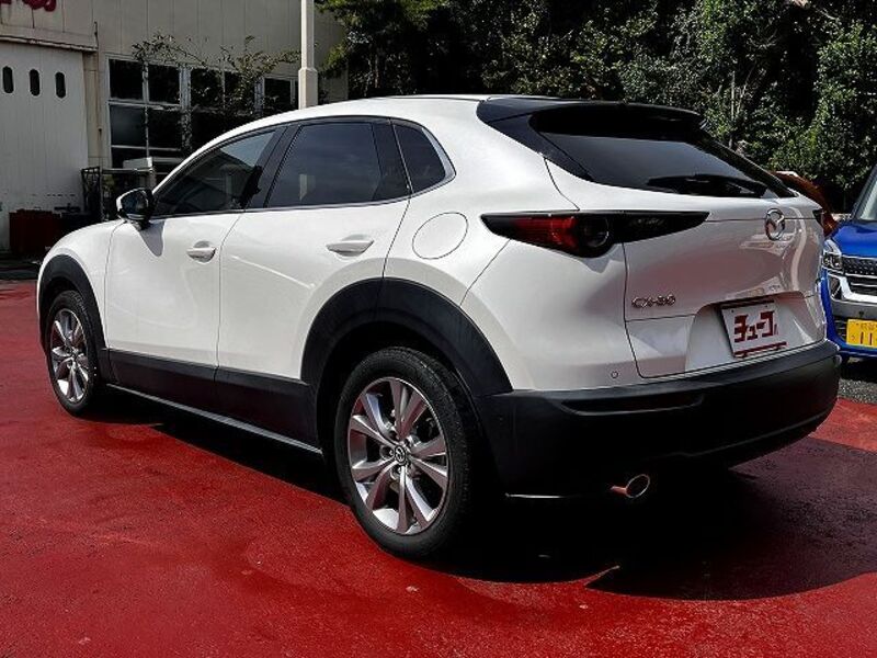 CX-30