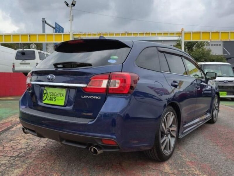 LEVORG
