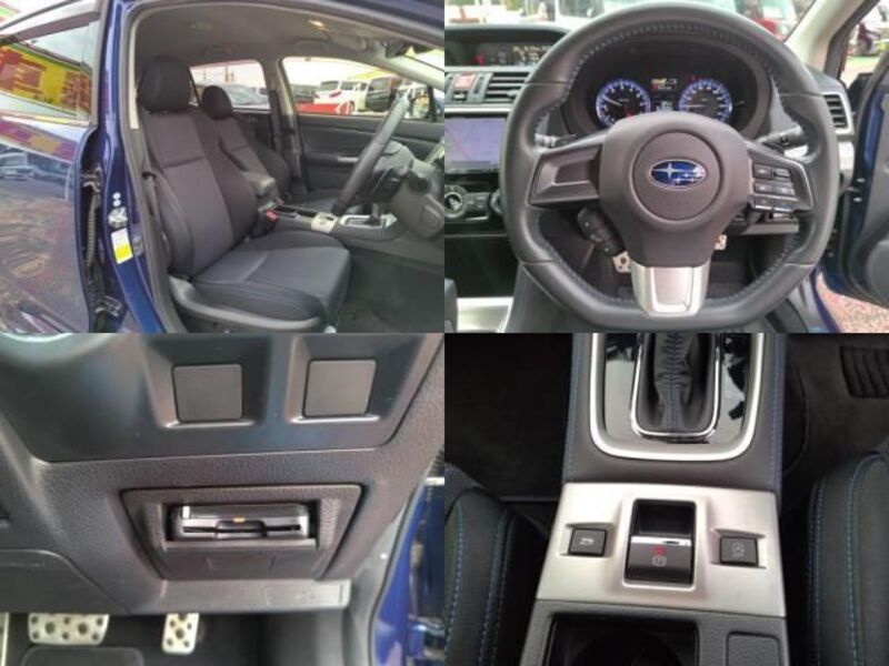 LEVORG