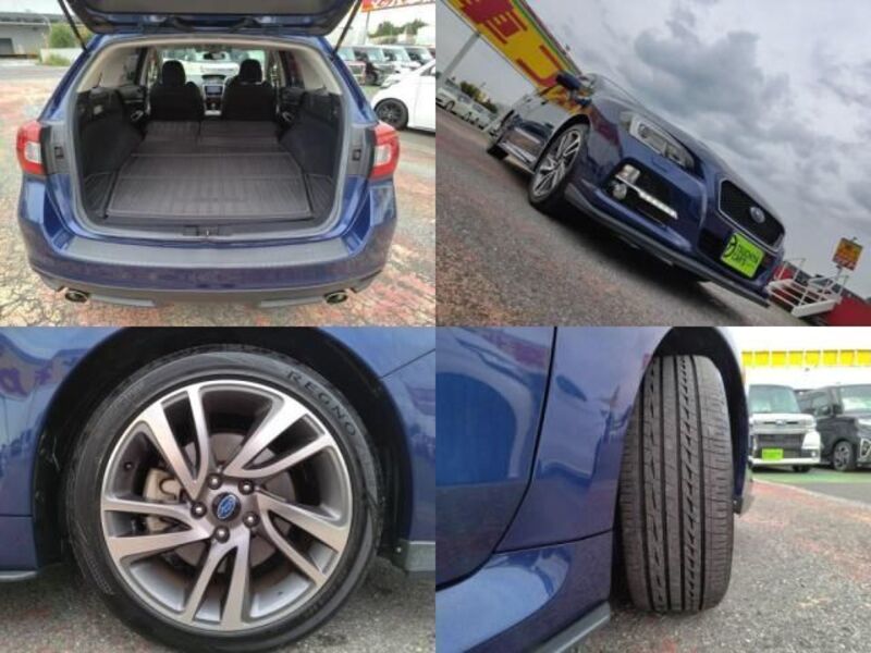 LEVORG