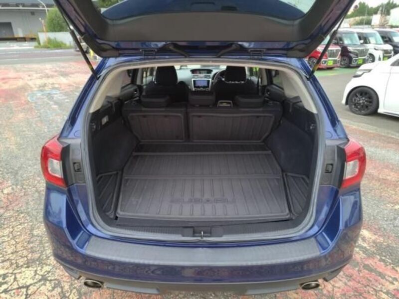 LEVORG