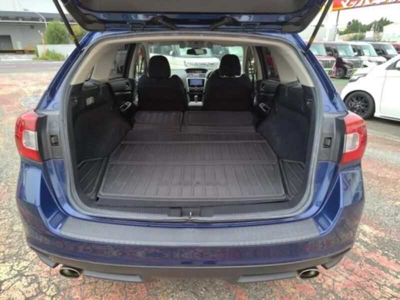 LEVORG