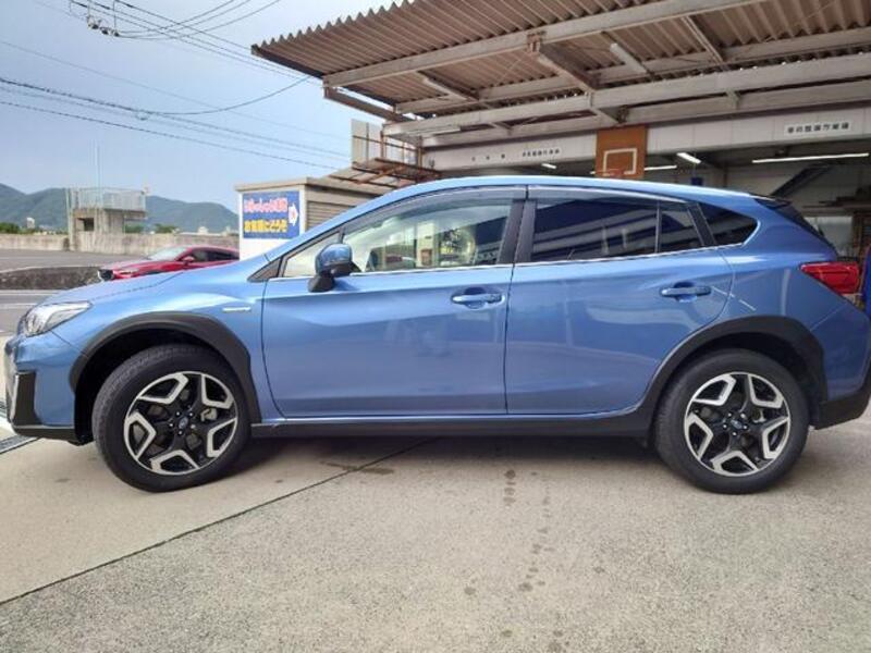 XV