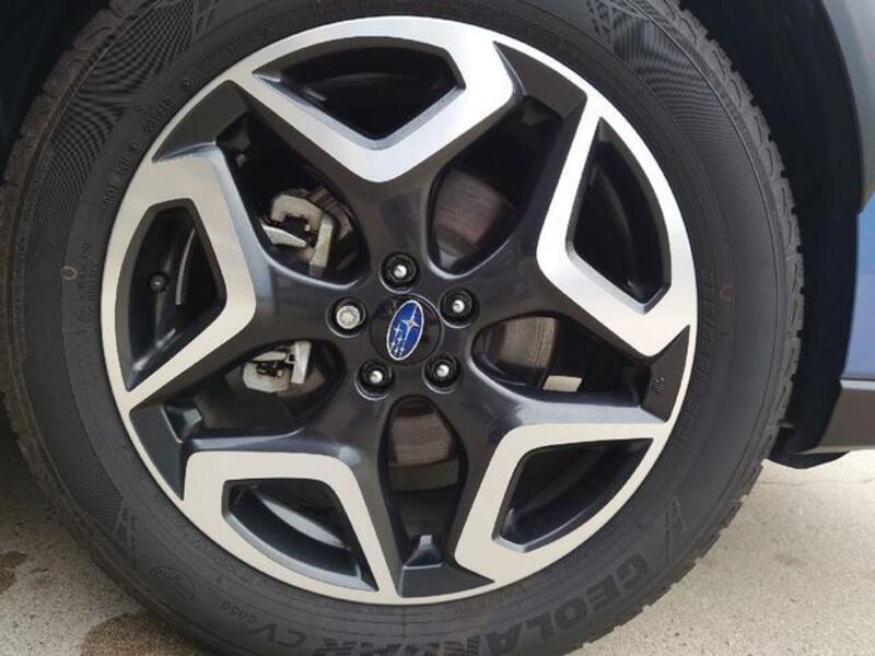 XV