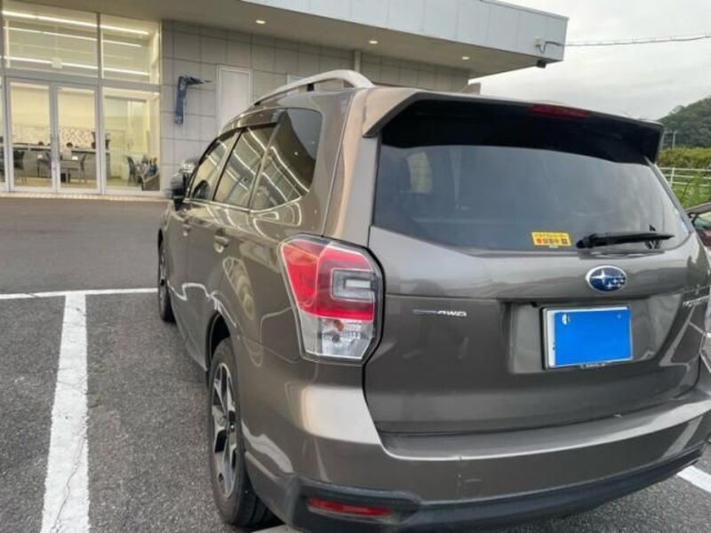 FORESTER