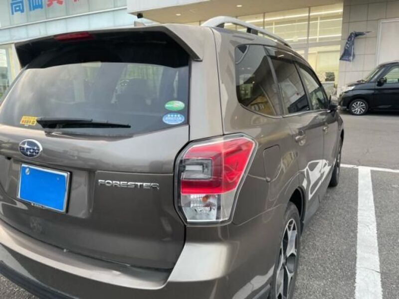 FORESTER