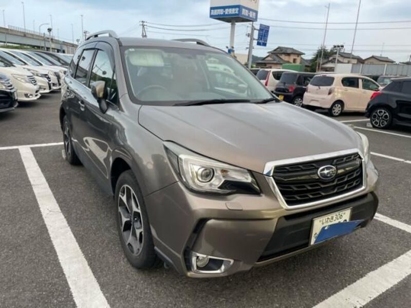 FORESTER