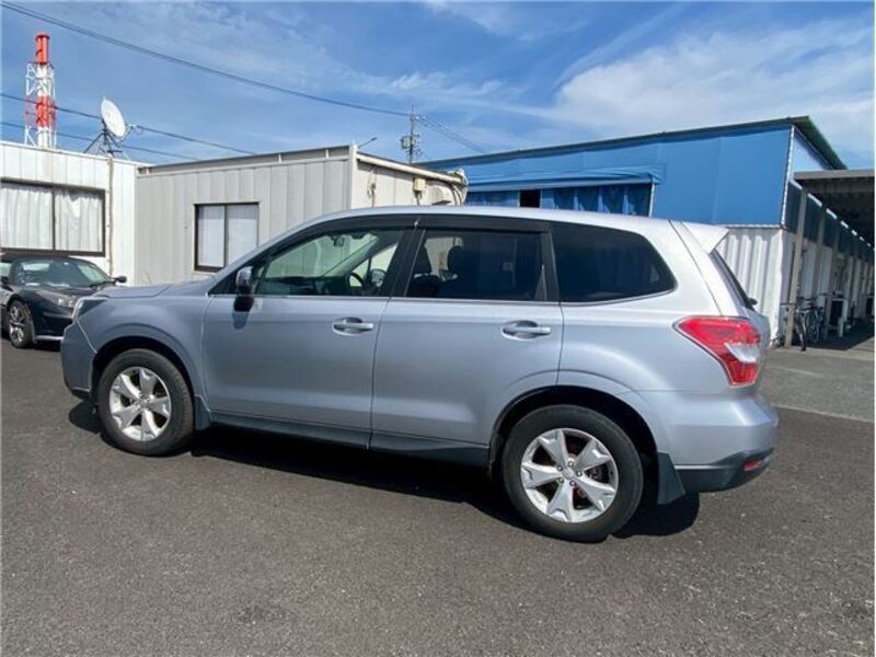 FORESTER