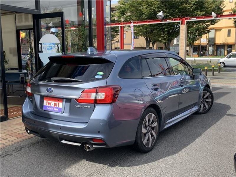 LEVORG